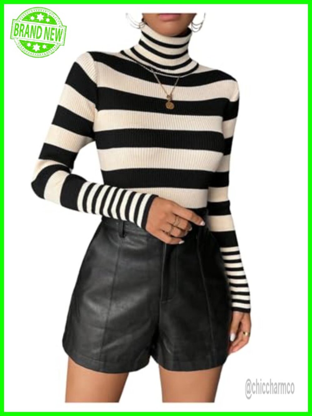 Women's Striped Turtle Neck Long Sleeve Pullover Sweater